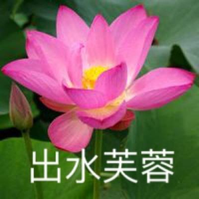 英雄之门破解版下载